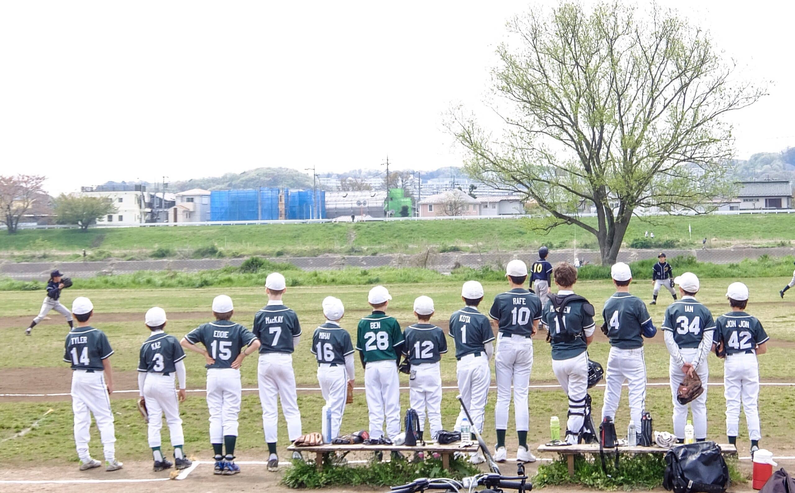 youth baseball team standing watching game