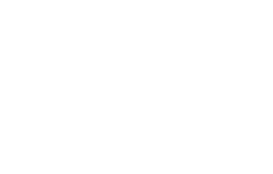 GoRout Connect Icon - White