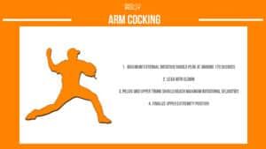 baseball pitching mechanics arm cocking phase infographic