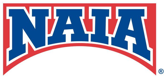 NAIA_Bridge_logo_300dpi_RGB