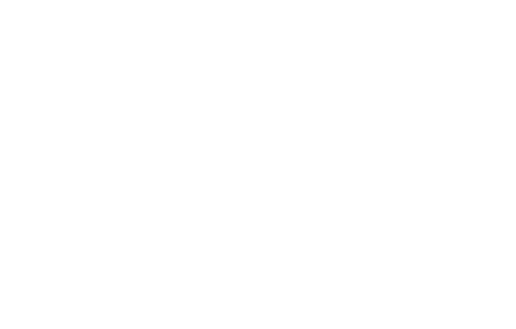 GoRout Connect Icon - White