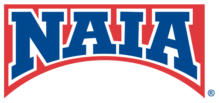 NAIA_Bridge_logo_300dpi_RGB